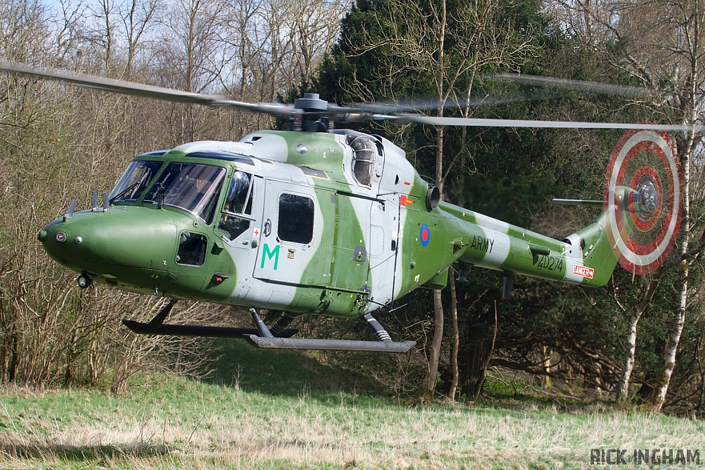 Westland Lynx AH7 - ZD274 - AAC
