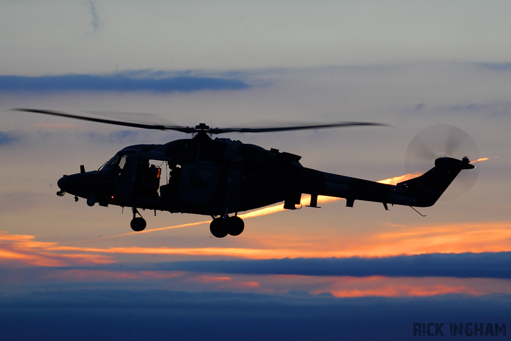 Westland Lynx AH9A - ZF537 - AAC