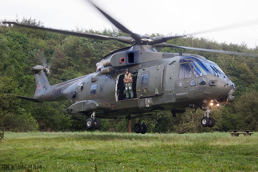 Westland Merlin HC3 - ZJ137/W - RAF