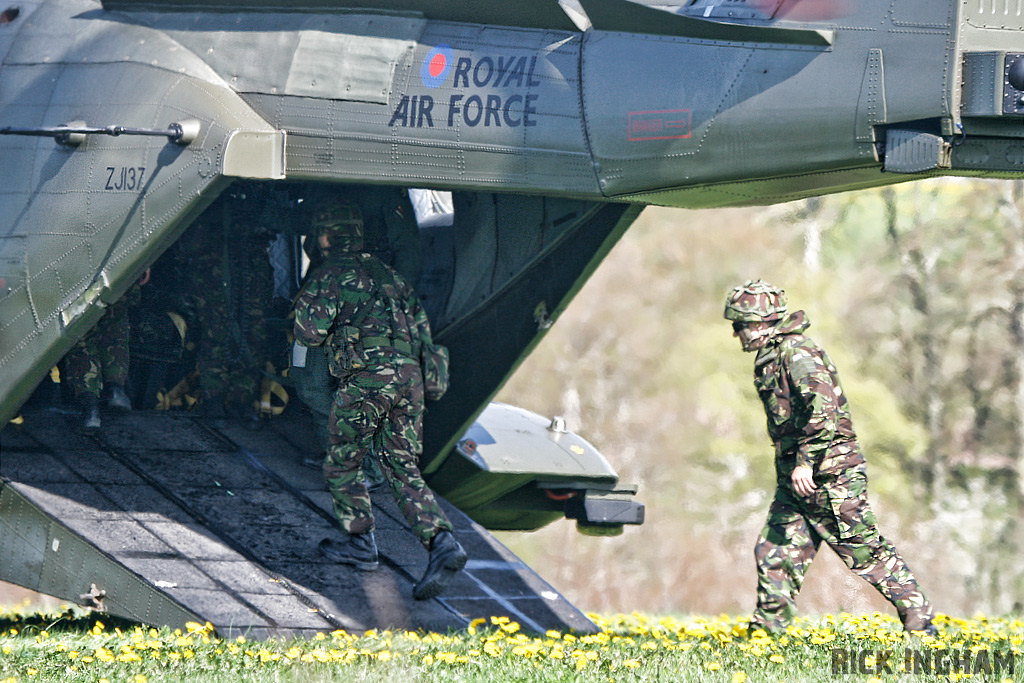 Westland Merlin HC3 - ZJ137/W - RAF