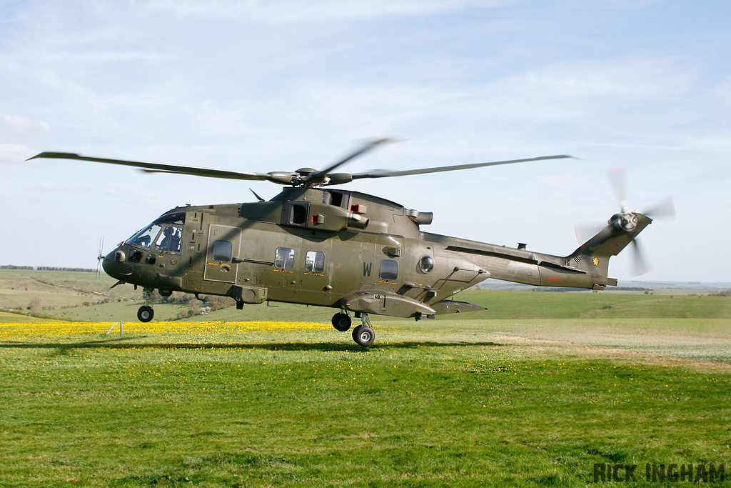 Westland Merlin HC3 - ZJ137/W - RAF