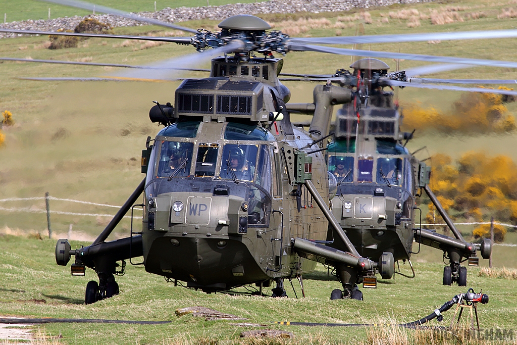 Westland Sea King HC4 - ZF116/WP + ZE427/K - Royal Navy