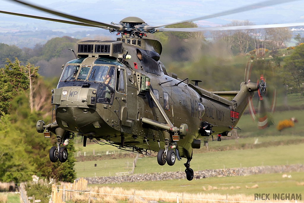 Westland Sea King HC4 - ZF116/WP - Royal Navy