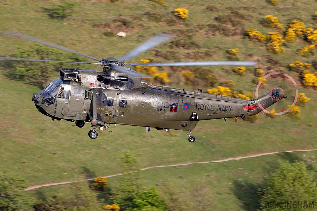 Westland Sea King HC4 - ZF116/WP - Royal Navy