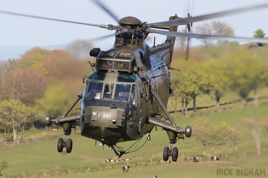 Westland Sea King HC4 - ZF119/WY - Royal Navy