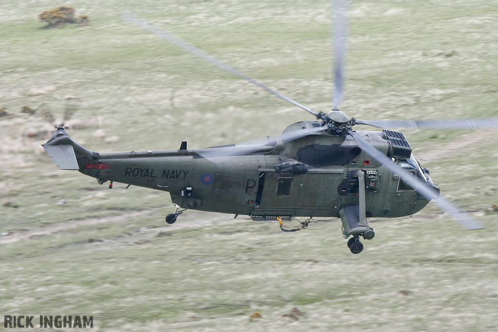 Westland Sea King HC4 - ZD625/P - Royal Navy