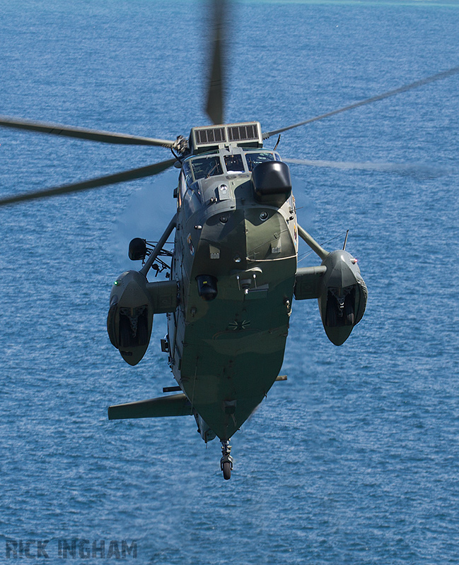 Westland Sea King Mk.41 - 89+65 - German Navy