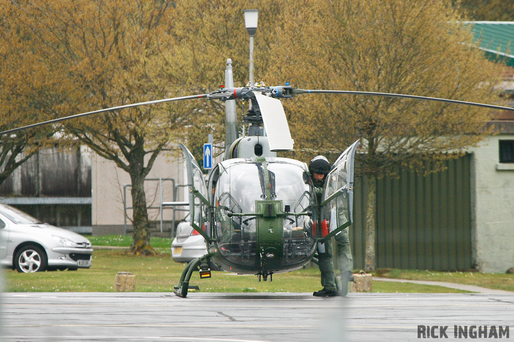 Westland Gazelle AH1 - XZ334 - AAC