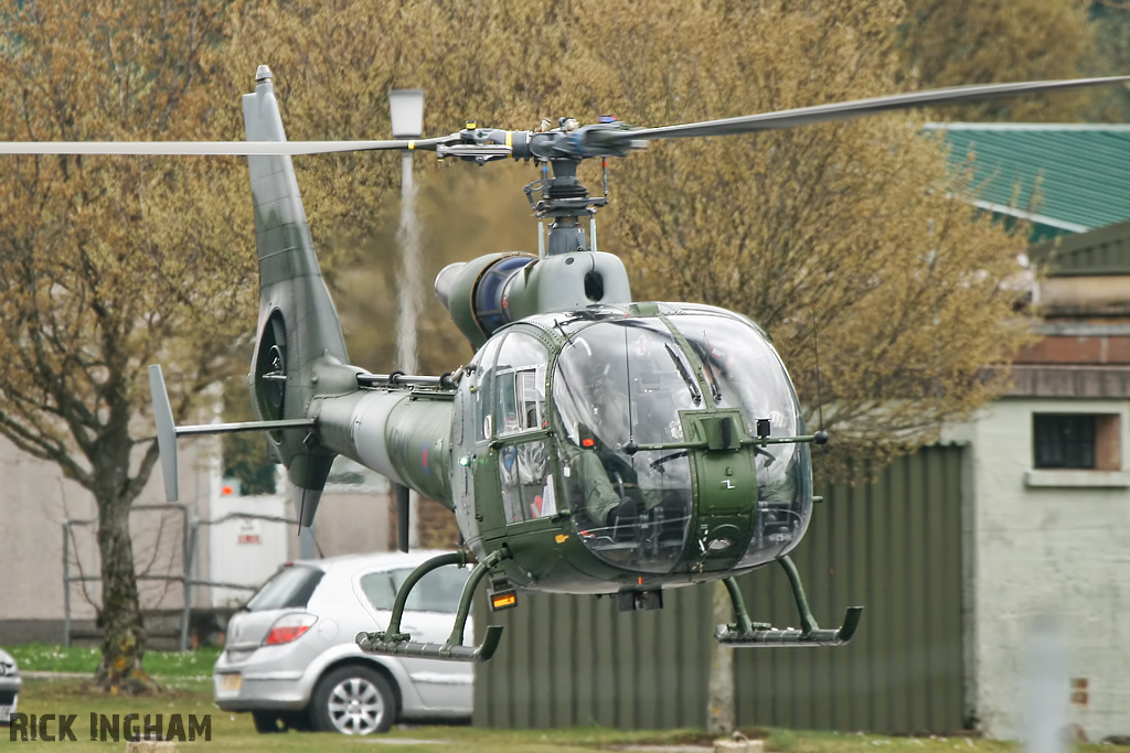 Westland Gazelle AH1 - XZ334 - AAC