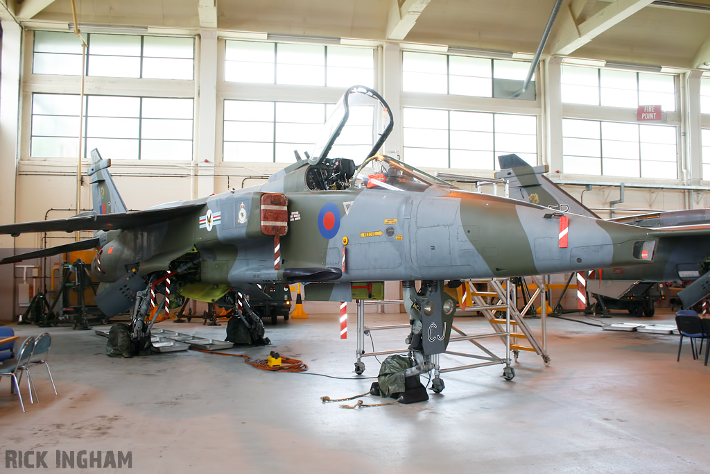 Sepecat Jaguar GR1 - XX959/CJ - RAF