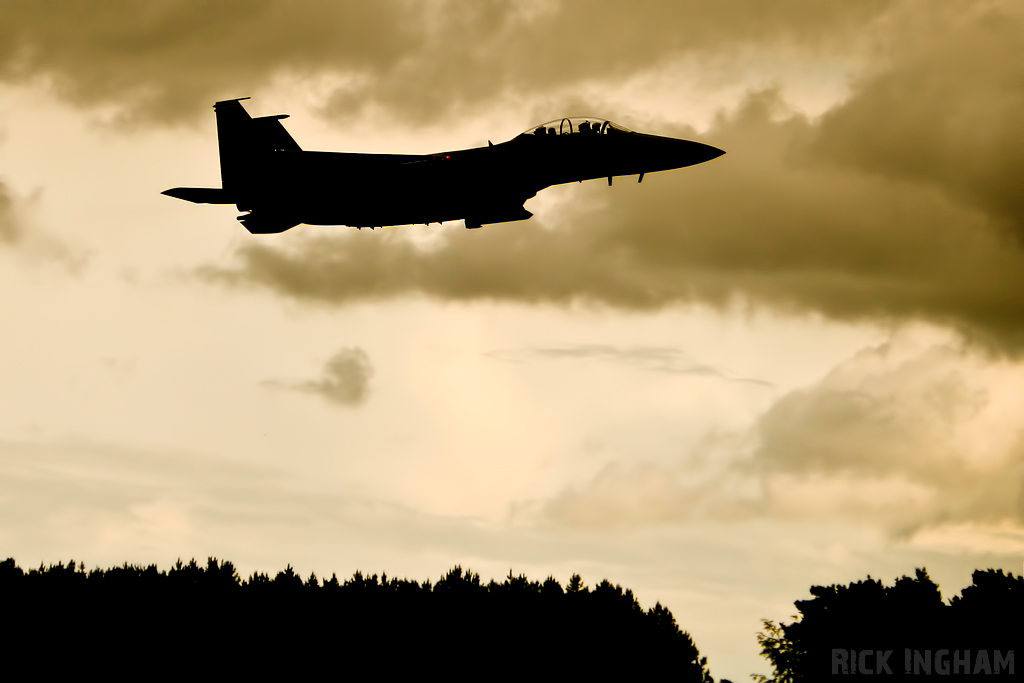 McDonnell Douglas F-15E Strike Eagle - 91-0331 - USAF