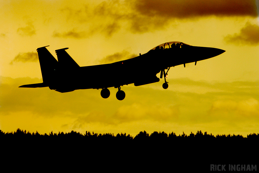 McDonnell Douglas F-15E Strike Eagle - 91-0321 - USAF