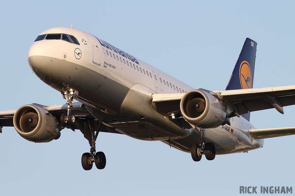 Airbus A320-211 - D-AIQE - Lufthansa