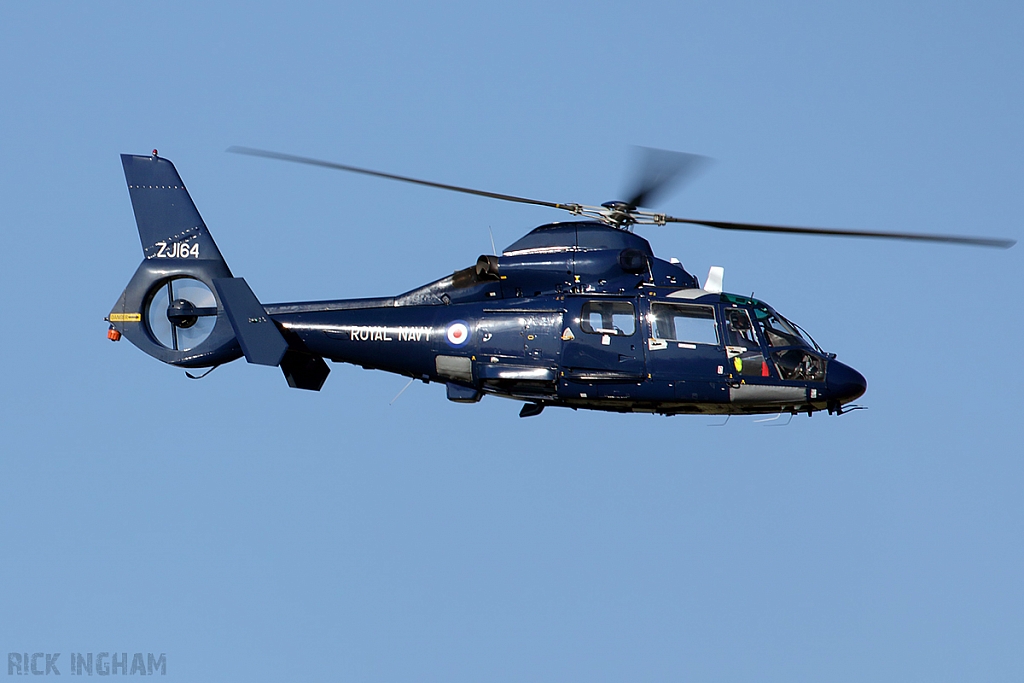 Eurocopter AS365 Dauphin II - ZJ164 - Royal Navy