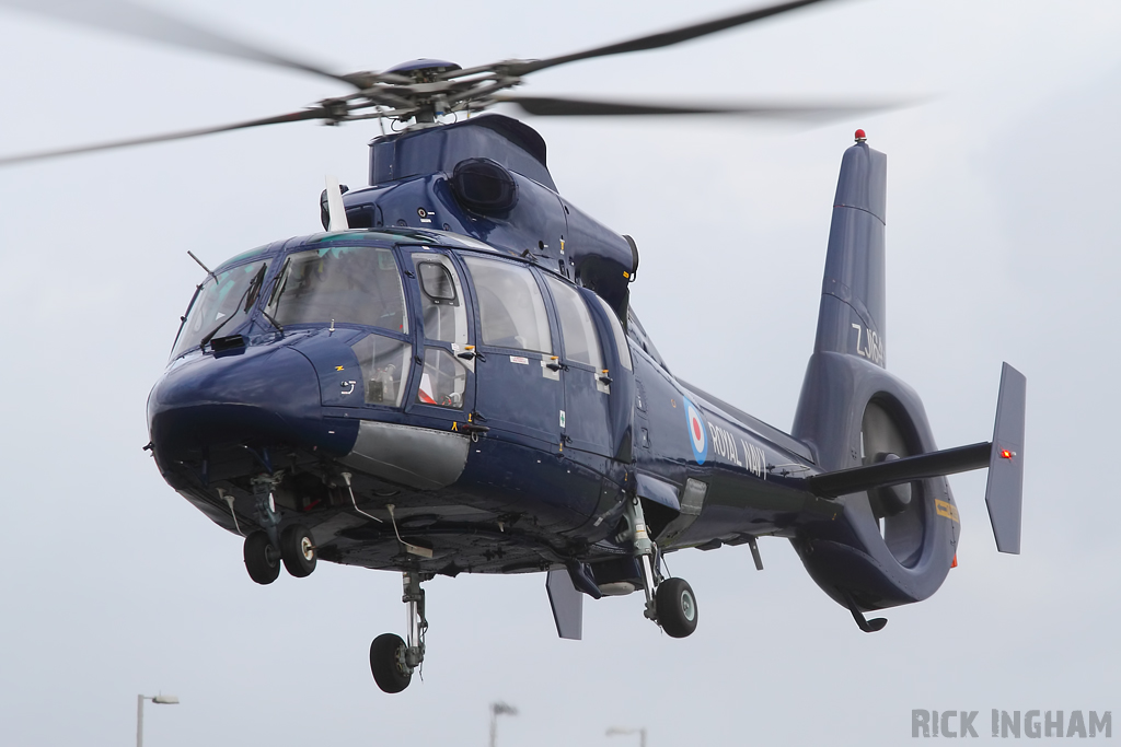 Eurocopter AS365 Dauphin II - ZJ164 - Royal Navy