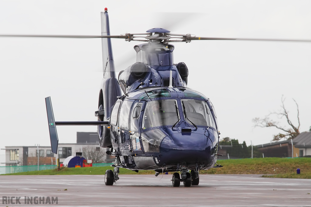 Eurocopter AS365 Dauphin II - ZJ164 - Royal Navy