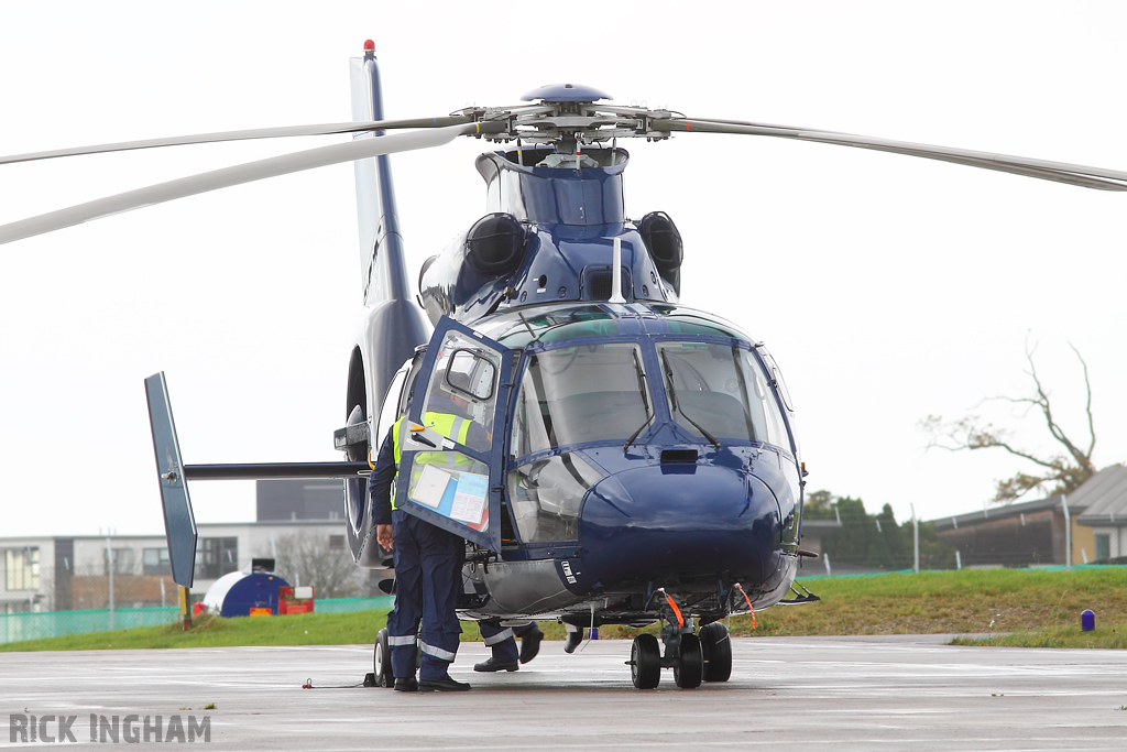 Eurocopter AS365 Dauphin II - ZJ164 - Royal Navy