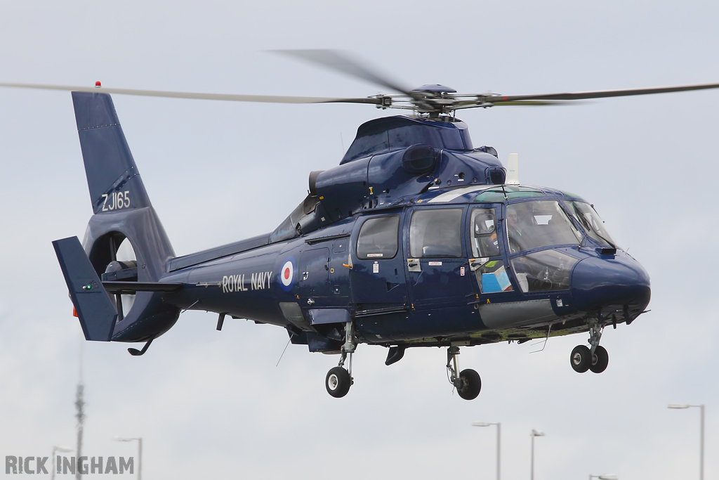 Eurocopter AS365 Dauphin II - ZJ165 - Royal Navy