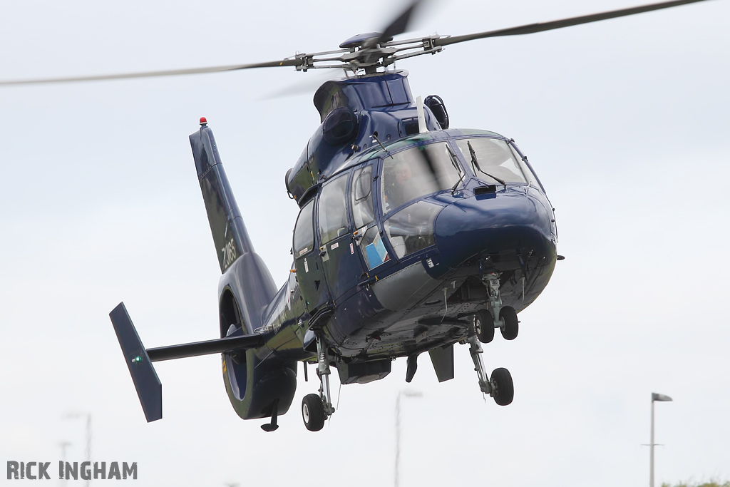 Eurocopter AS365 Dauphin II - ZJ165 - Royal Navy