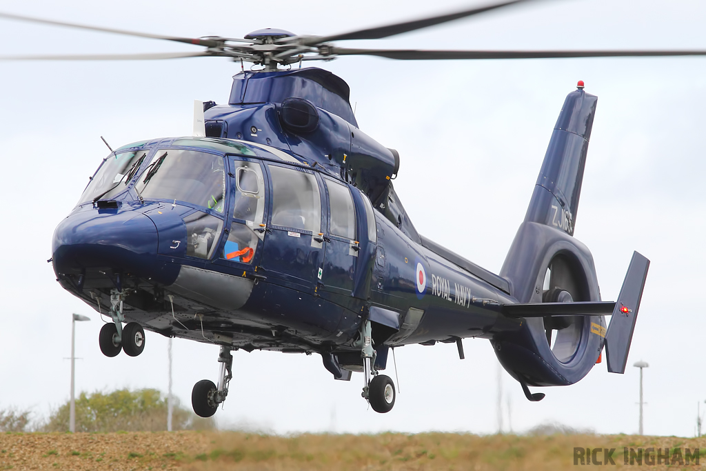 Eurocopter AS365 Dauphin II - ZJ165 - Royal Navy