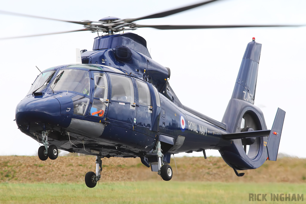 Eurocopter AS365 Dauphin II - ZJ165 - Royal Navy