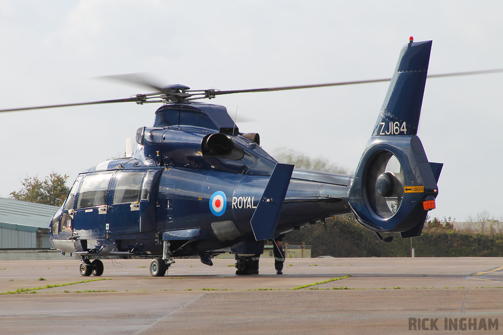 Eurocopter AS365 Dauphin II - ZJ164 - Royal Navy