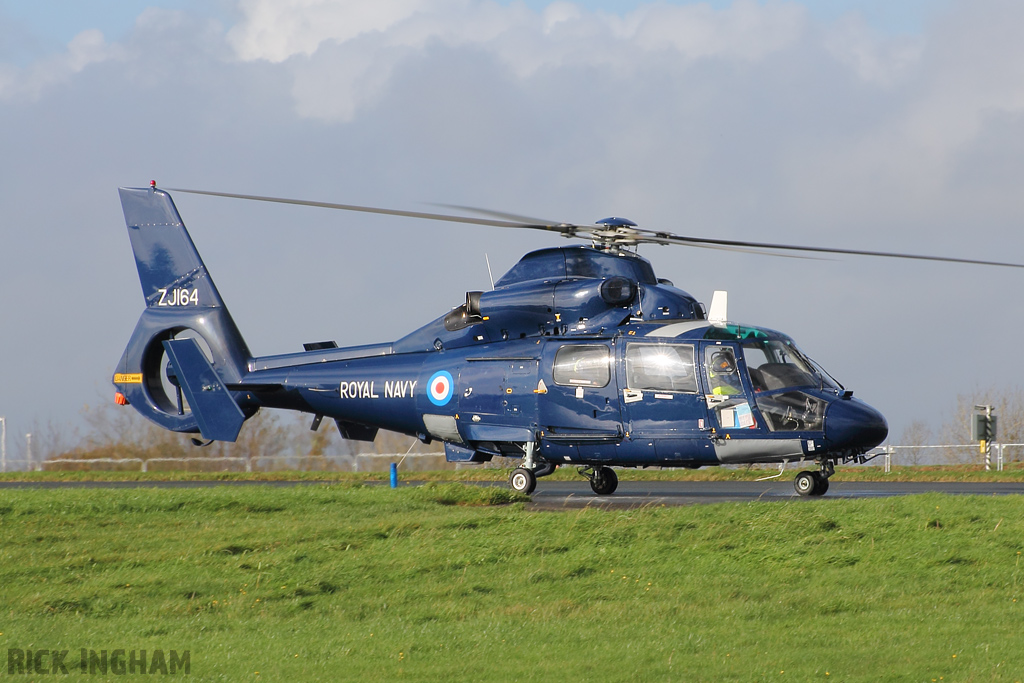 Eurocopter AS365 Dauphin II - ZJ164 - Royal Navy