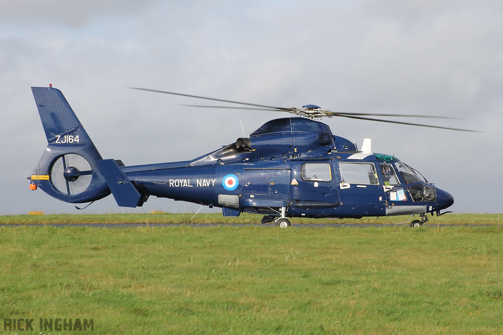 Eurocopter AS365 Dauphin II - ZJ164 - Royal Navy