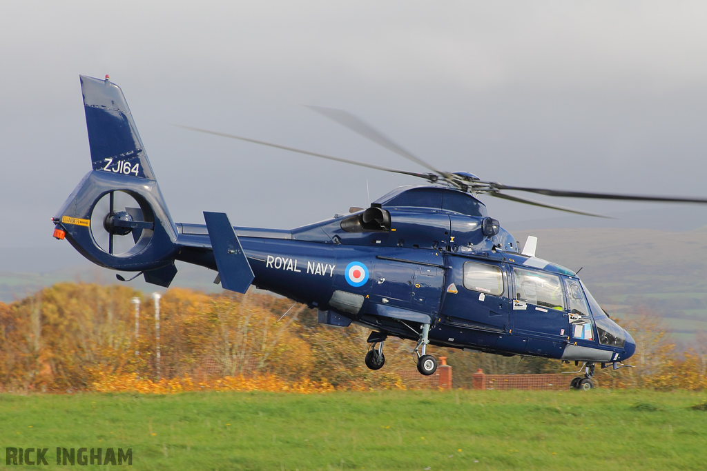 Eurocopter AS365 Dauphin II - ZJ164 - Royal Navy