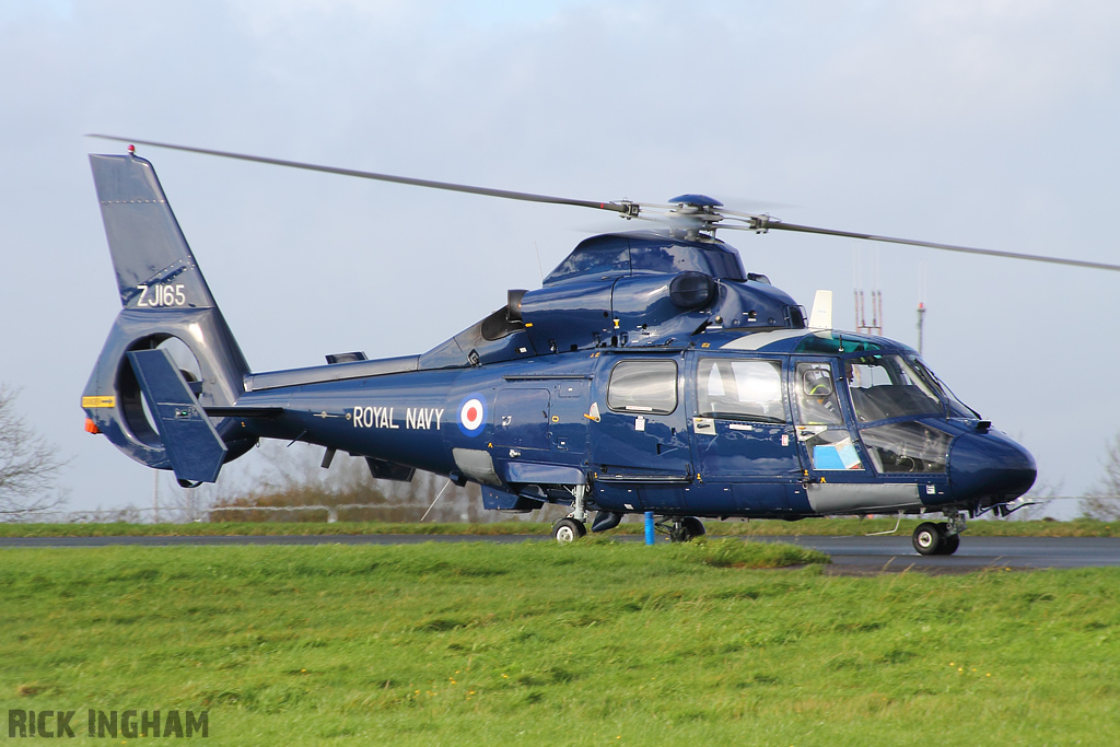 Eurocopter AS365 Dauphin II - ZJ165 - Royal Navy