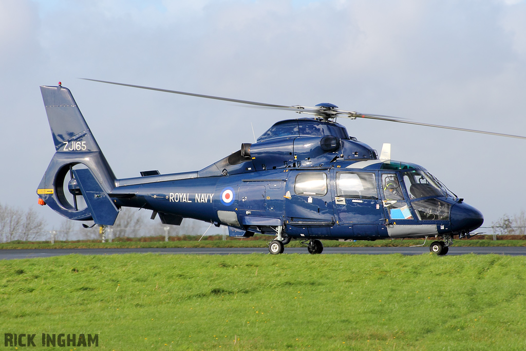 Eurocopter AS365 Dauphin II - ZJ165 - Royal Navy