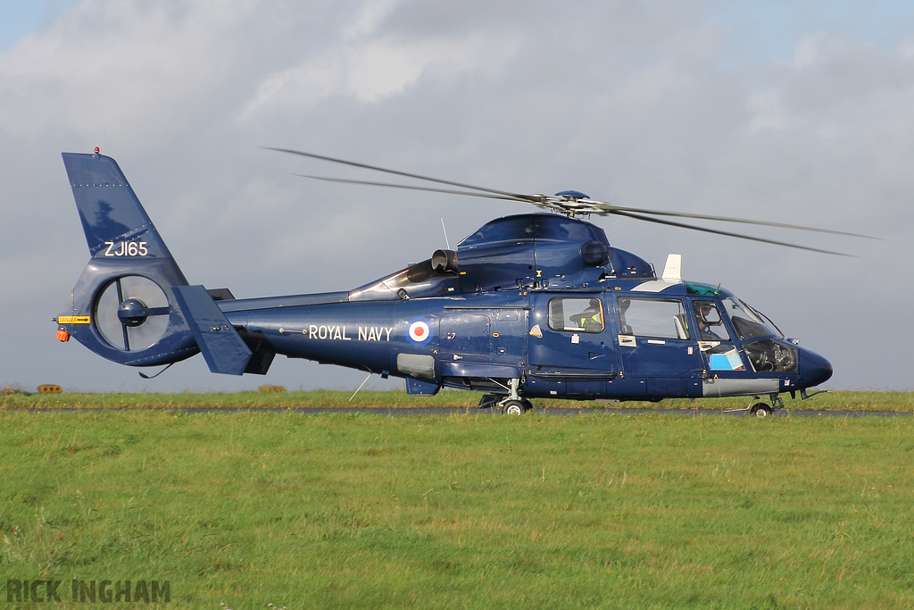 Eurocopter AS365 Dauphin II - ZJ165 - Royal Navy