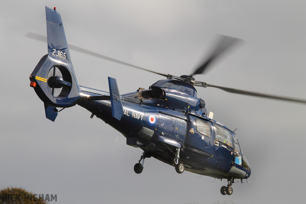 Eurocopter AS365 Dauphin II - ZJ165 - Royal Navy