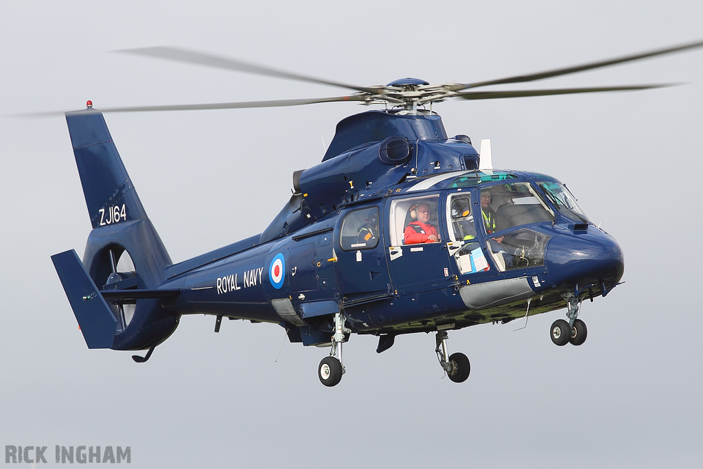 Eurocopter AS365 Dauphin II - ZJ164 - Royal Navy