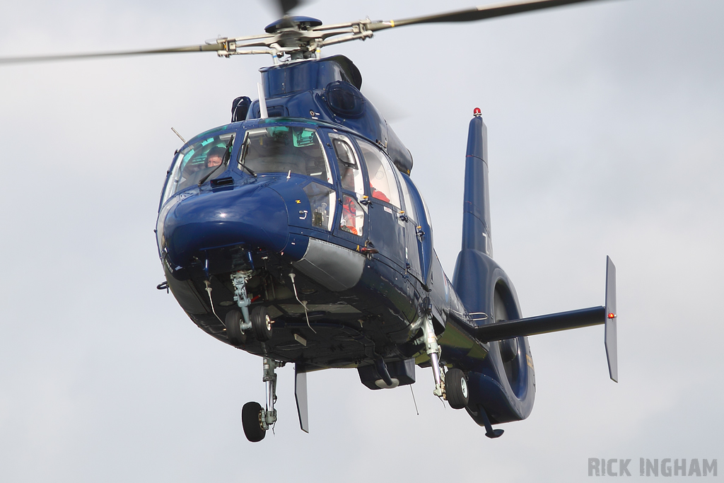 Eurocopter AS365 Dauphin II - ZJ164 - Royal Navy