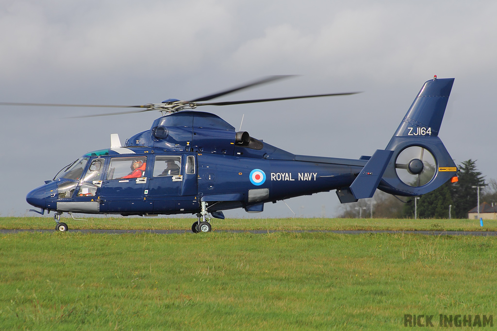 Eurocopter AS365 Dauphin II - ZJ164 - Royal Navy