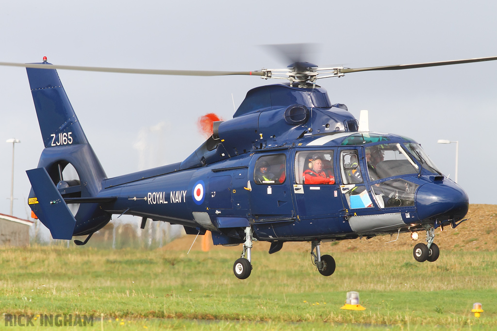 Eurocopter AS365 Dauphin II - ZJ165 - Royal Navy