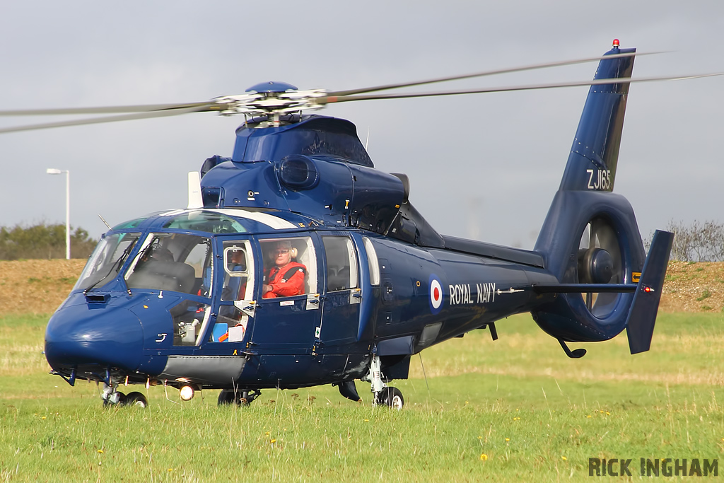 Eurocopter AS365 Dauphin II - ZJ165 - Royal Navy