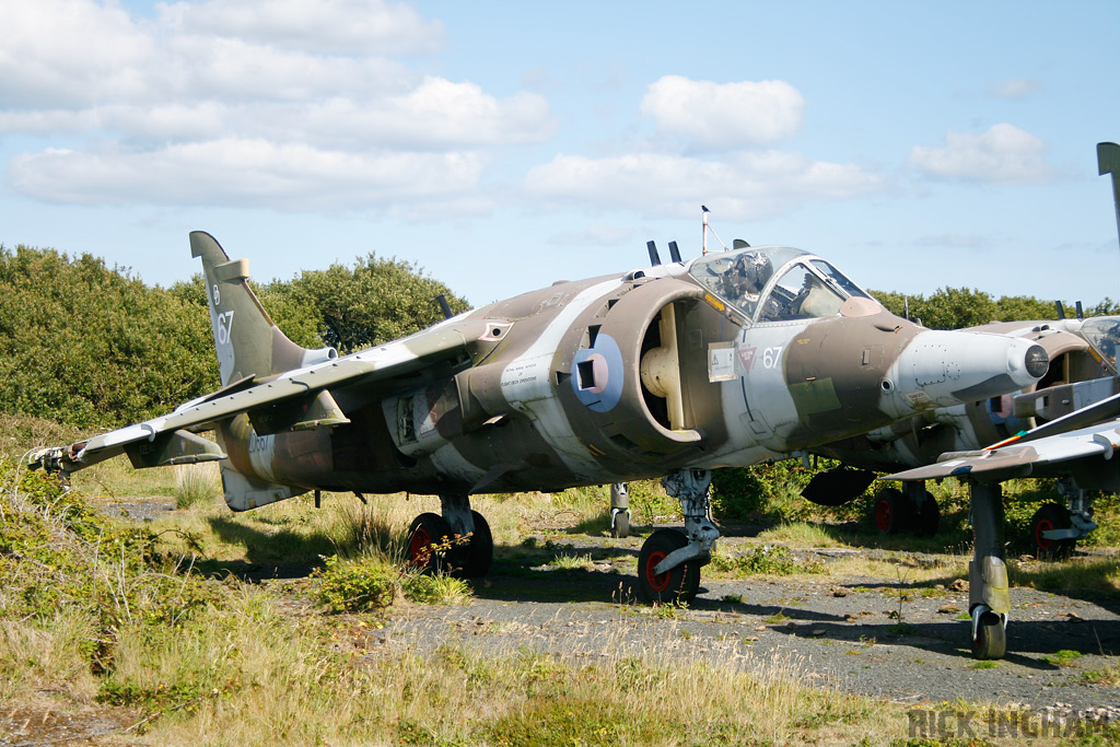 Hawker Siddeley Harrier GR3 - ZD667/67 - RAF