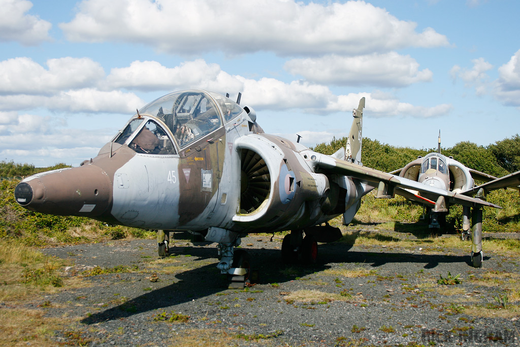 Hawker Siddeley Harrier T4 - XZ145/45 - RAF