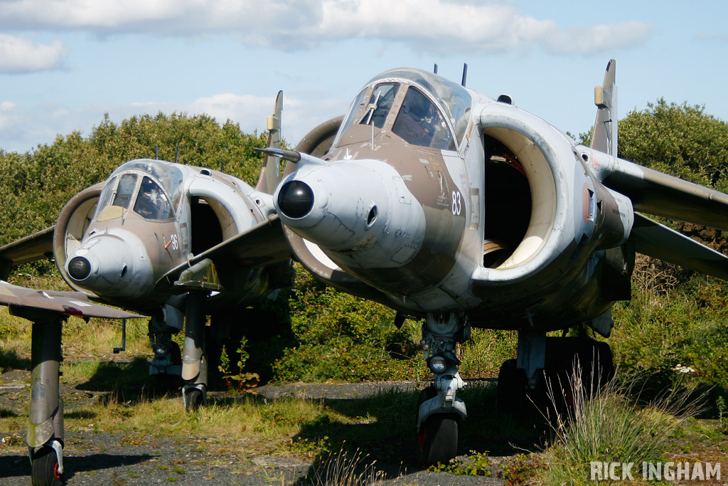 Hawker Siddeley Harrier GR3 - XV783/83 - RAF