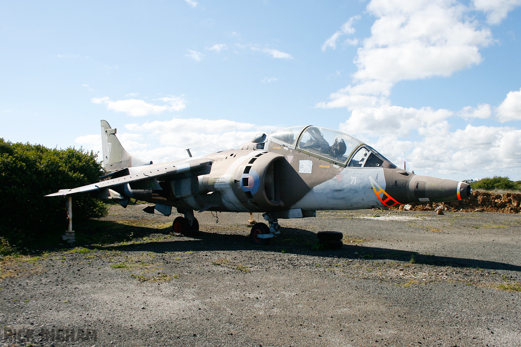 Hawker Siddeley Harrier GR3 - XW271/71 - RAF