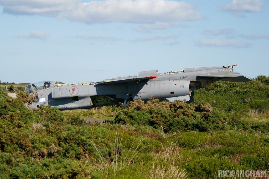 Sepecat Jaguar T4 - XX845 - RAF