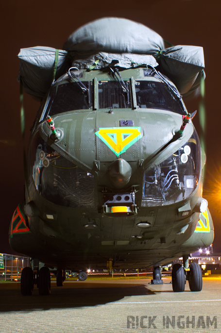 Boeing Chinook HC4 - ZD981 - RAF