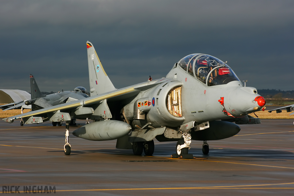 British Aerospace Harrier T12 - ZH665/113 - RAF