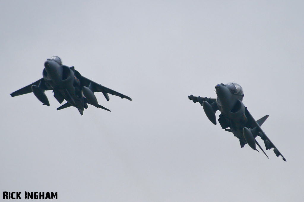 British Aerospace Harrier GR9 - ZG502/73 - Royal Navy + British Aerospace Harrier T12 - ZH664/112 - RAF