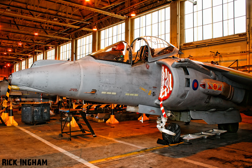 British Aerospace Harrier GR9 - ZD437/49 - RAF