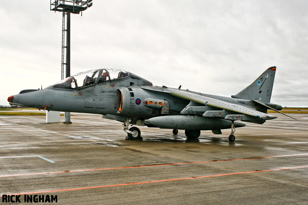 British Aerospace Harrier T12 - ZH665/113 - RAF