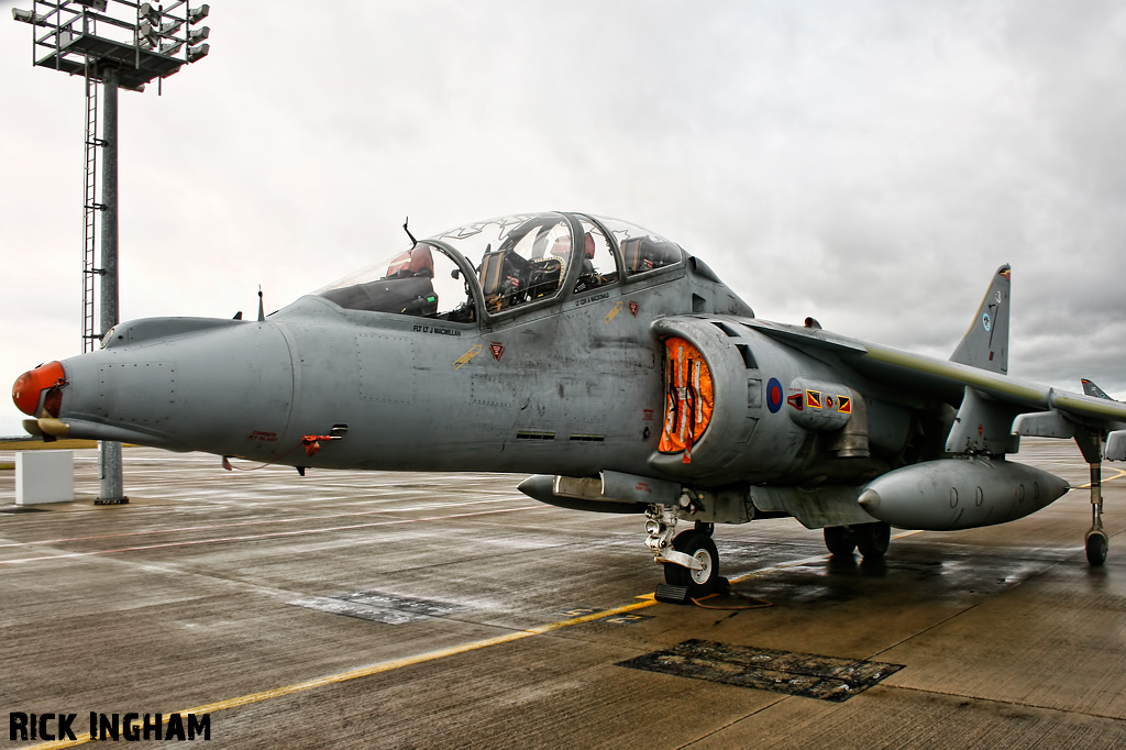 British Aerospace Harrier T12 - ZH665/113 - RAF