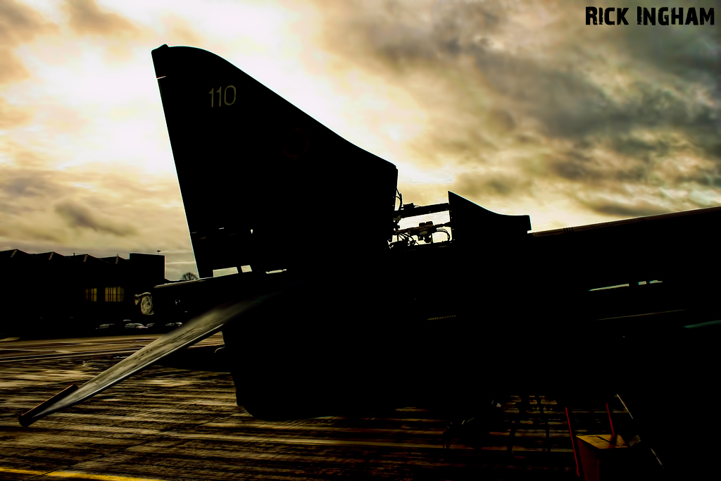 British Aerospace Harrier T12 - ZH662/110 - RAF